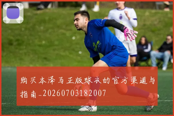 购买本泽马正版球衣的官方渠道与指南_20260703182007