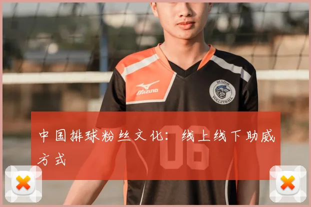 中国排球粉丝文化：线上线下助威方式