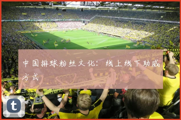 中国排球粉丝文化：线上线下助威方式